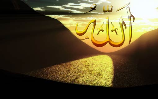 لا إله إلّا أنت.. قمة شامخة من قمم التوحيد