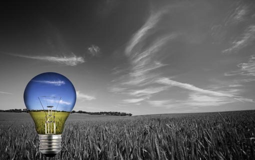 مفاهيم أساسية في القانون العام لحماية البيئة/ج1