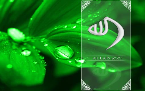 ما هو سرّ الخليقة وفلسفة الحياة؟!