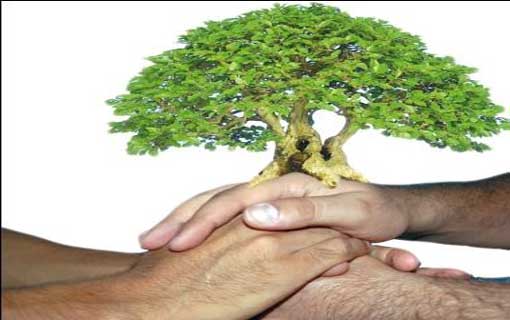 منهجية التغيير الناجح في الذات والمجتمع