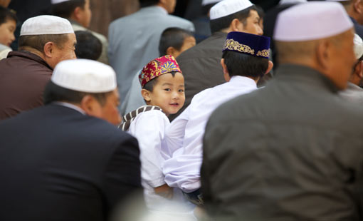 نصيحة أبنائنا.. حب وإشفاق