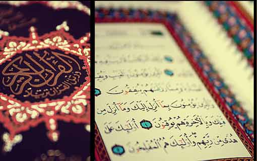 شريعتنا.. والبناء