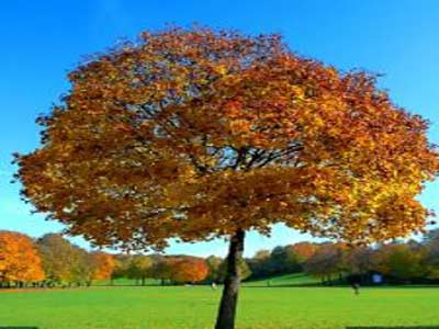 تعلّمت من الحياة