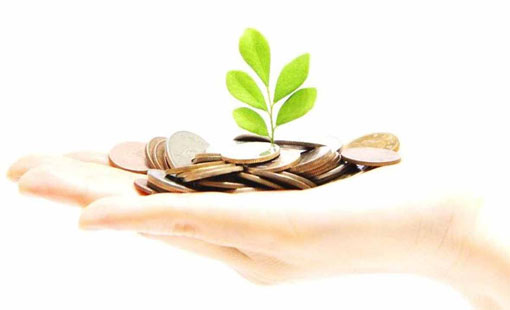 زكاة الفطرة.. أحكام ومعطيات