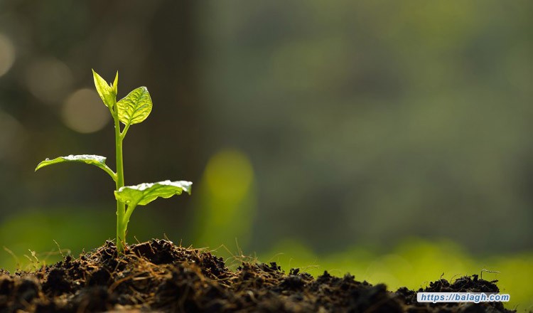 الحياة مسيرة أمل وعمل