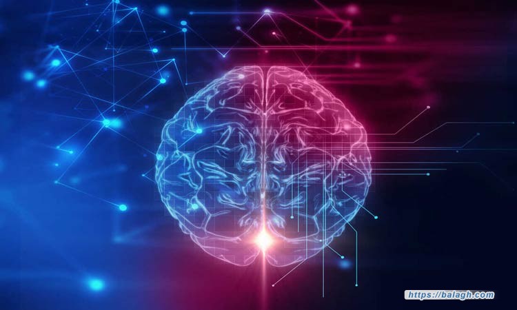 خارطةُ الإنسان