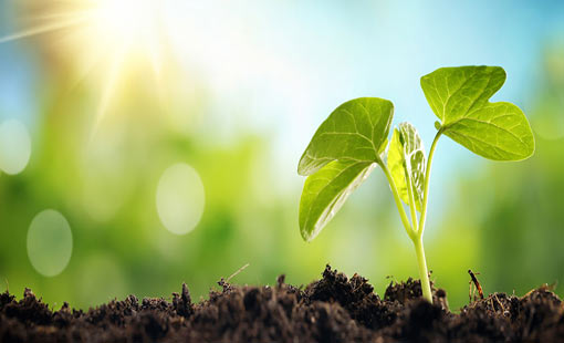 النهضة الحسينية.. منظومة تربويّة وأخلاقيّة