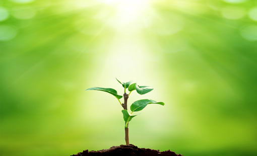 مفاهيم حول معنى العطاء الحقيقي