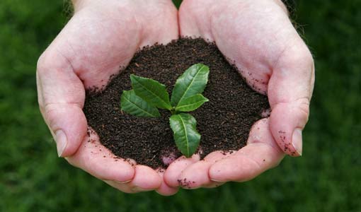 العزم.. جوهر الإنسانية