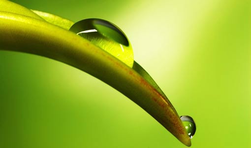 الهدف السامي للحياة الإنسانية