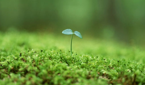 القرآن الكريم.. يحث على السلوك الإيجابي