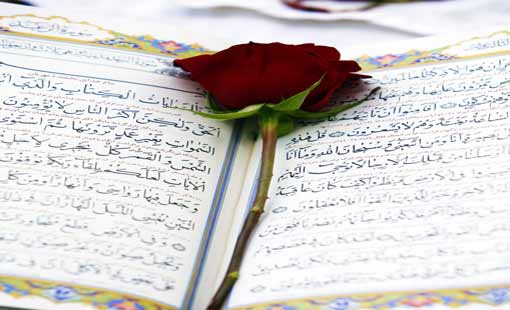 الإنفاق في سبيل الله/ ج2