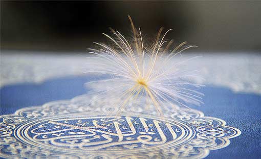 الجانب الإنساني لحركة الأنبياء