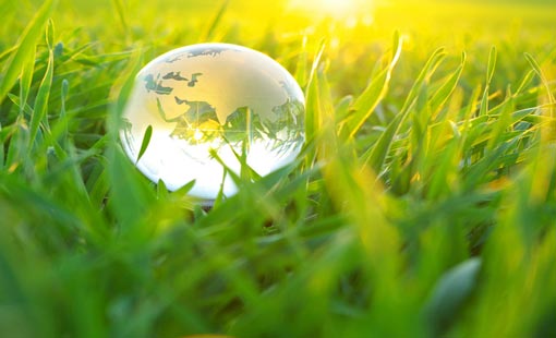 التفاعل الإيجابي في خضم المجتمع