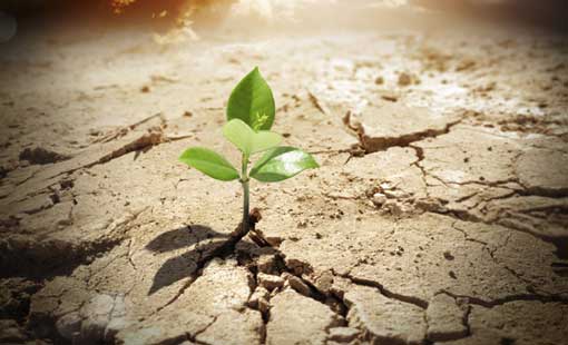 التغيُّر الداخلي للنفس الإنسانية