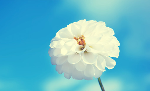 التجمل بالعفو...