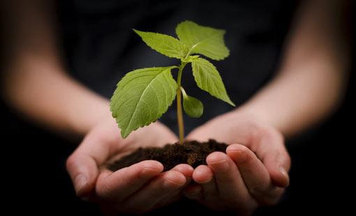 خدمة الناس.. نعمة وعبادة