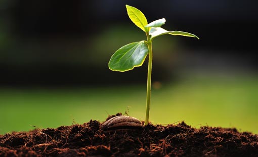 سُنّة الصراع بين الإصلاح والفساد