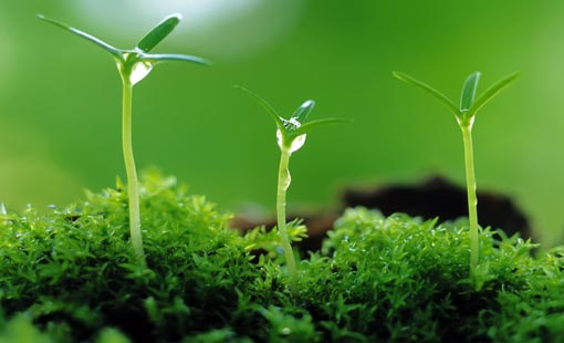 ثمار الأخوة في الله