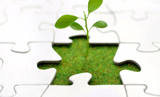 كيف تحدد الإرادة في داخلك؟