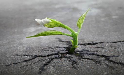 مرحلة المراهقة.. السهل الممتنع