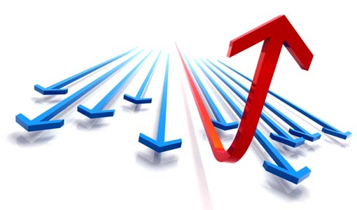 تركيز الناجحين