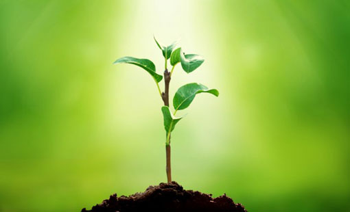 التواصي بالخير ضرورة إنسانية