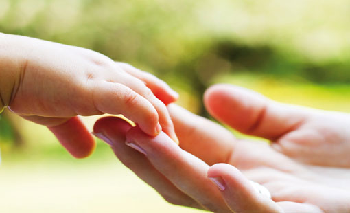 التربية والتعليم بين الفن والعلم