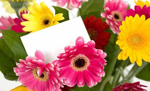 إتيكيت الزيارة...