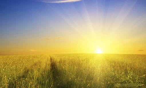 يوم جديد.. بداية جديدة