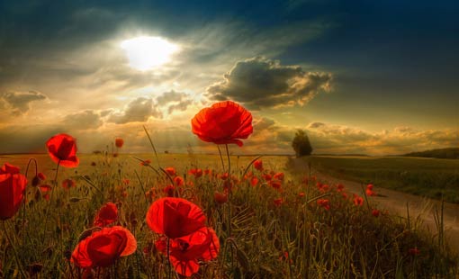 الأمل وأثره