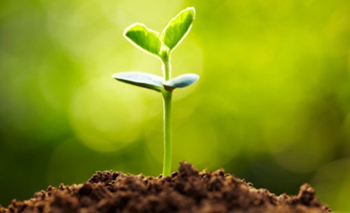 مبادئ وقيم سلوكية.. خذوا بأحسنها