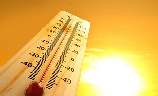 اختبر معلوماتك عن ضربة الشمس