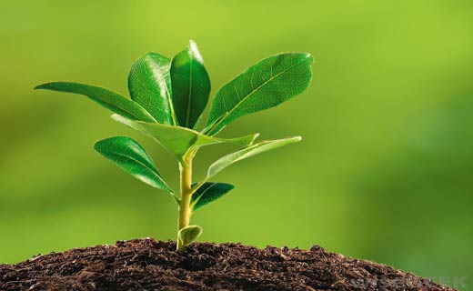 لسان صدق وقدم صدق ومقعد صدق