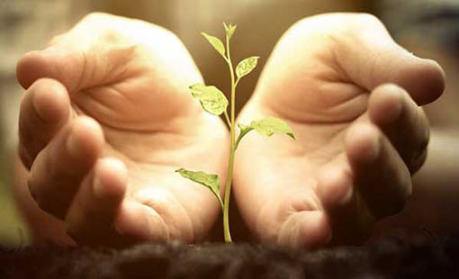 القيم.. ضوابط ومبادئ لسلوكيات الأفراد