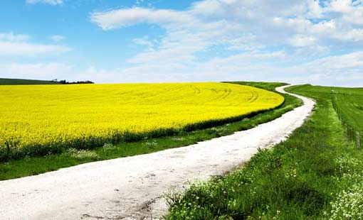 أولويات الشباب