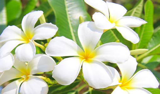 البناء الروحي عند الشباب