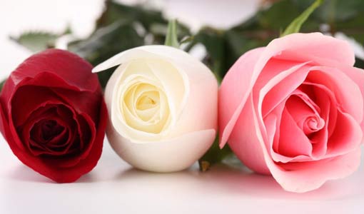 ما علاقة المشاعر بالقيادة؟