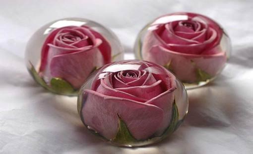 استراتيجية التسامح