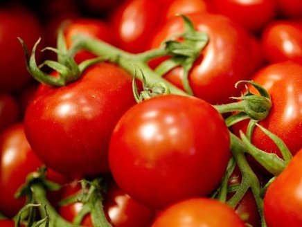 Tomate verhindert Schlaganfall