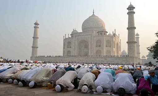 التوازن السلوكي