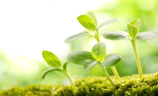 حرمة الحياة المعنوية للإنسان