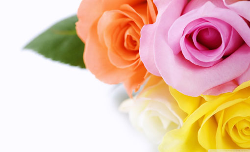 كي يحبك الناس