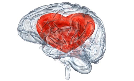 لا تحكم على الناس بالعاطفة