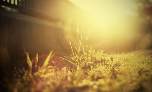 التغيير من سُنن الحياة