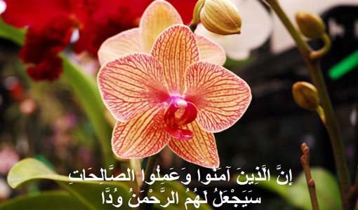 مبادئ الصحة النفسية في القرآن الكريم