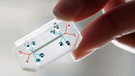 رقيقة بلاستيكية تحمي المنتجات التقنية من السطو الفكري