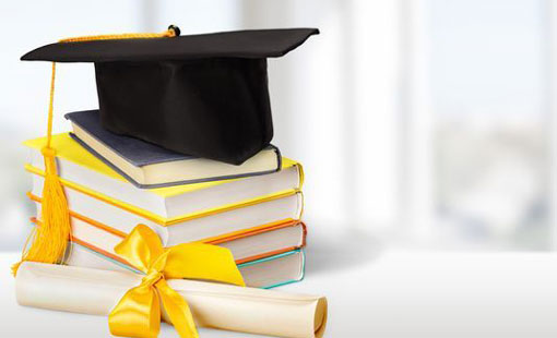 دور الشباب في تنمية المجتمع