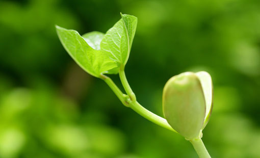 تقويم الخُلق