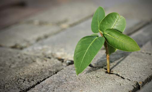 معرفة الصواب من الخطأ